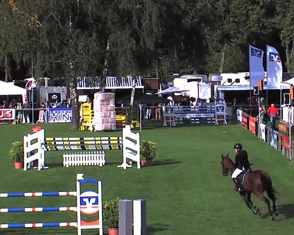 Reitturnier Bad Segeberg 2015