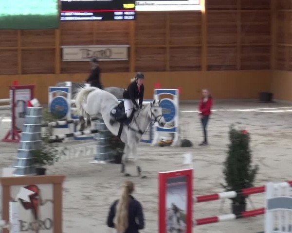 Springturnier Xanten 2016