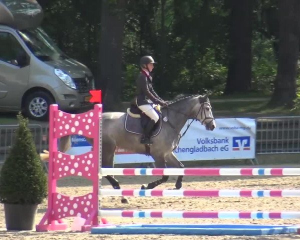 Reitturnier Mönchengladbach-Wickrath 2016