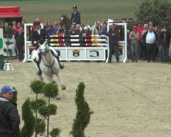 Reitturnier Kirchhellen/Stall Dieckmann 2016