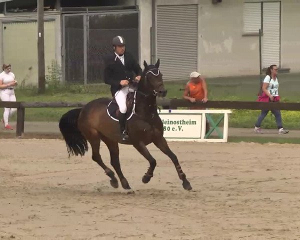 Reitturnier Kleinostheim 2016