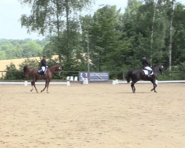 Reitturnier Erkrath - Uhlenhof 2016