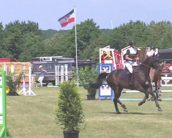 Reitturnier Medelby 2016