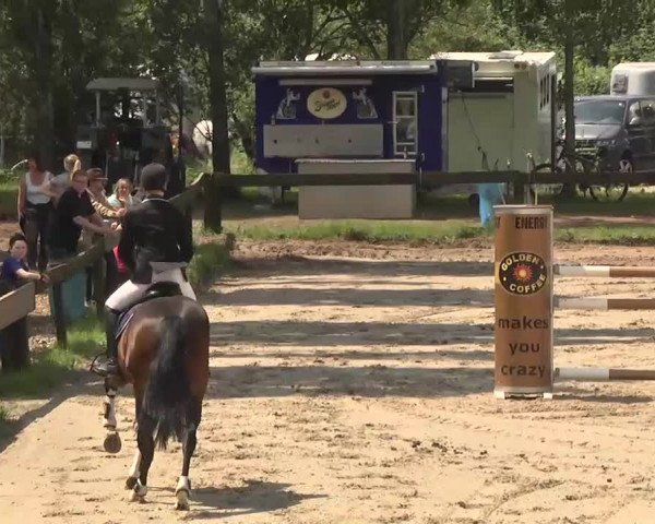 Reitturnier Kleinostheim 2016