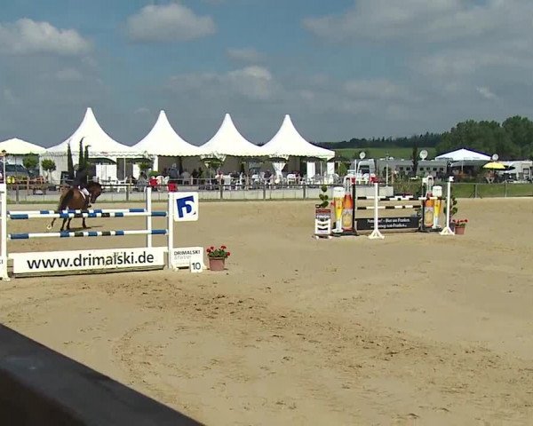 Reitturnier Detter 2016