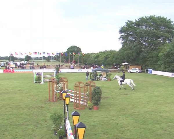 Reitturnier Tasdorf 2016