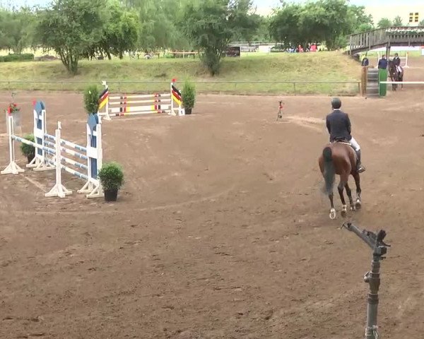Reitturnier Wiesloch 2016