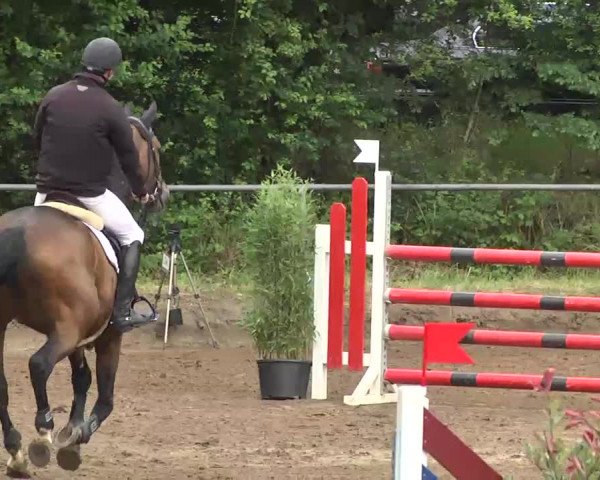 Reitturnier Wiesloch 2016