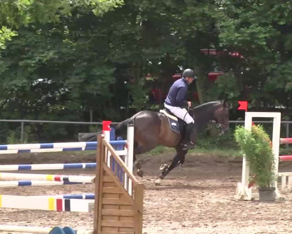 Reitturnier Wiesloch 2016