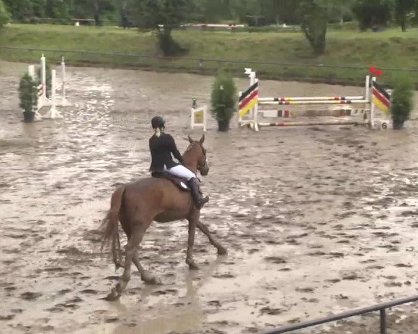 Reitturnier Wiesloch 2016