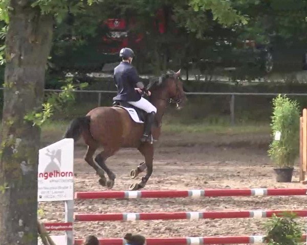 Reitturnier Wiesloch 2016