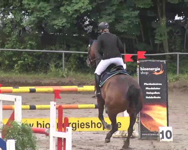 Reitturnier Wiesloch 2016