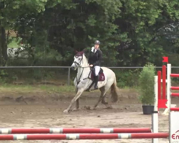 Reitturnier Wiesloch 2016