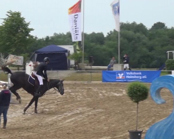 Heinsberger Dressur- und Springtage 2016