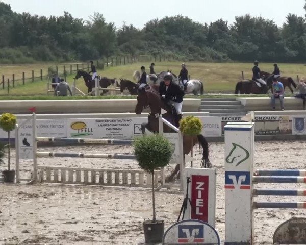 Heinsberger Dressur- und Springtage 2016