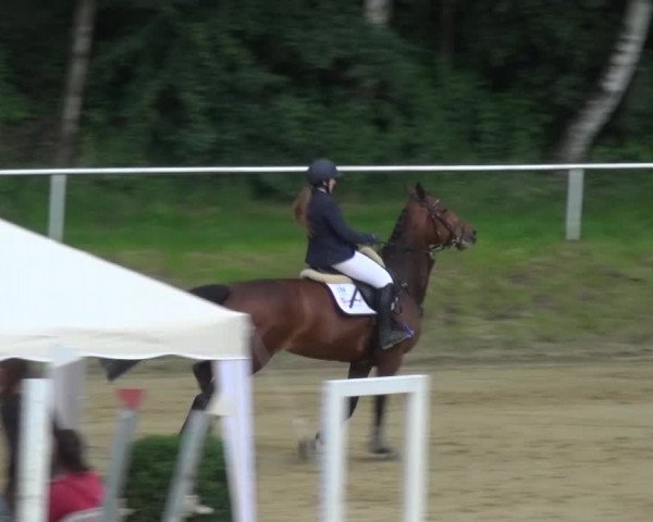 Reitturnier Viersen-Dülken 2016 - Kleines Sommerturnier