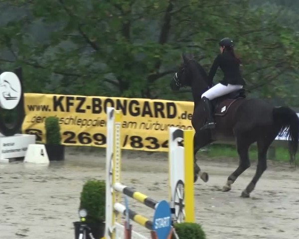 Reitturnier Kalenborn Hegehof 2016
