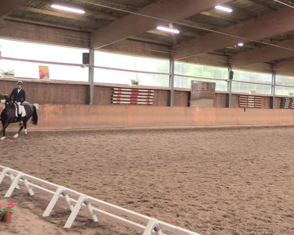 Reitturnier Schwerte-Gut Kückshausen 2016