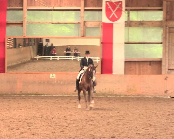 Reitturnier Schwerte-Gut Kückshausen 2016