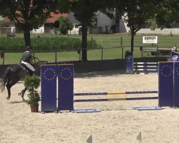 Reitturnier Ingolstadt-Hagau 2016