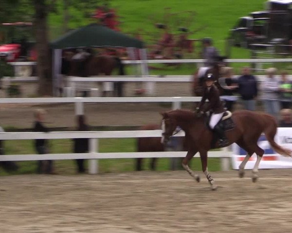 Reitturnier Letmathe 2016