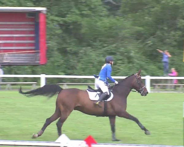 Reitturnier Marne 2016