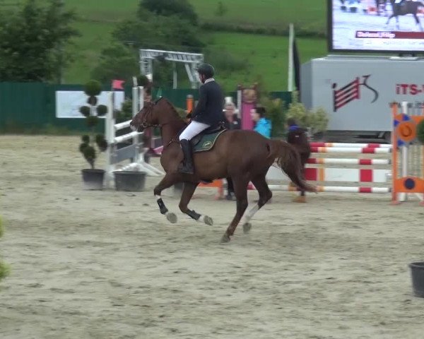 Reitturnier Lindlar-Süttenbach 2016