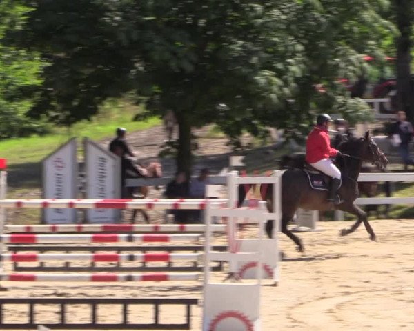Reitturnier Letmathe 2016