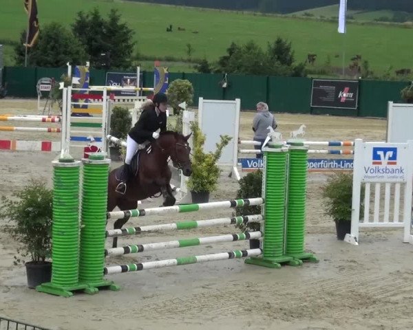 Reitturnier Lindlar-Süttenbach 2016