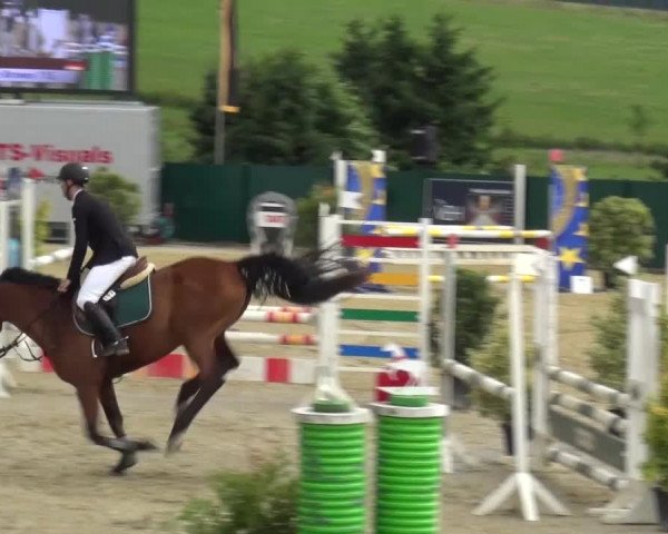 Reitturnier Lindlar-Süttenbach 2016