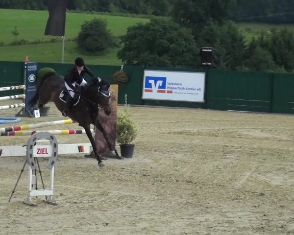 Reitturnier Lindlar-Süttenbach 2016