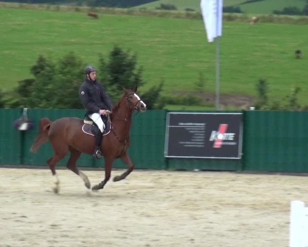 Reitturnier Lindlar-Süttenbach 2016