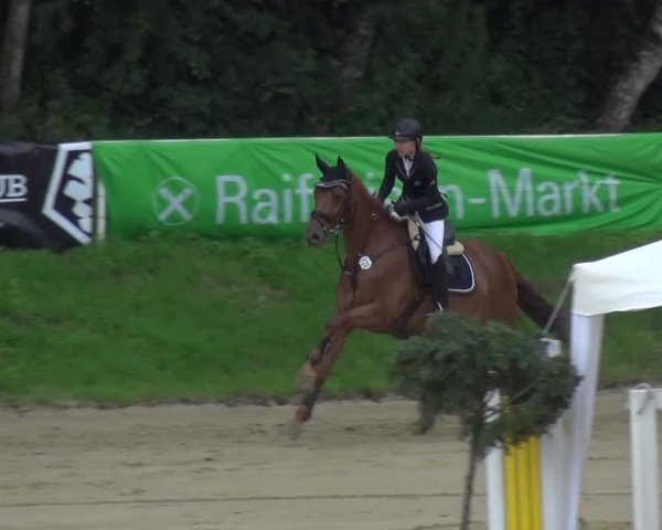 Reitturnier Viersen-Dülken 2016