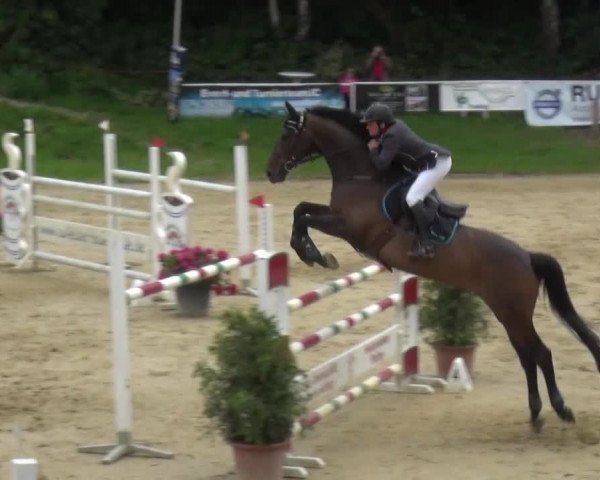 Reitturnier Viersen-Dülken 2016
