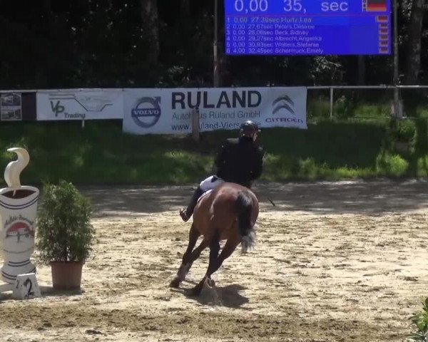 Reitturnier Viersen-Dülken 2016
