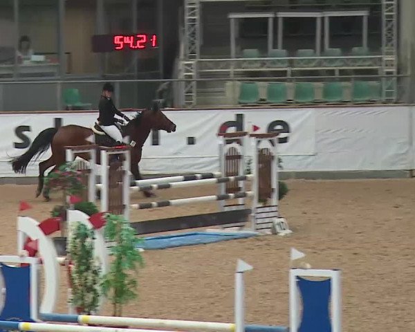 Reitturnier Kreuth 2017