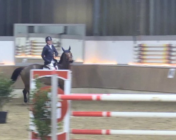 Reitturnier Südlohn-Oeding 2018