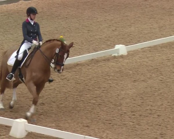 Reitturnier Kreuth 2018