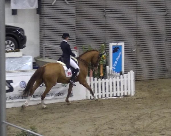 VER-Dinale 2018 - Verdener Hallenreitturnier