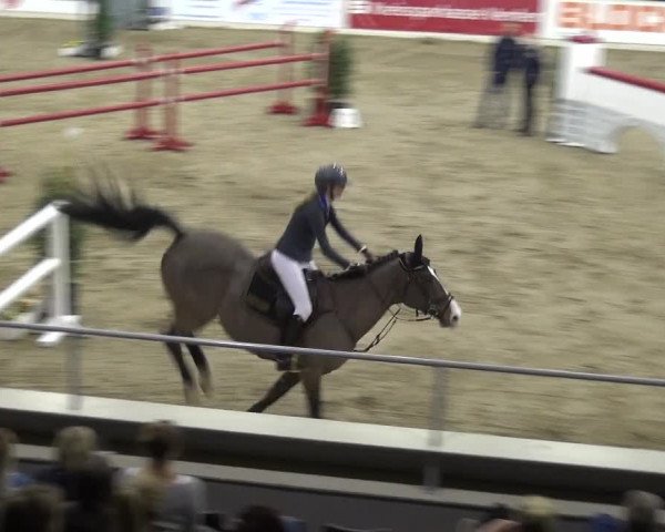 VER-Dinale 2018 - Verdener Hallenreitturnier
