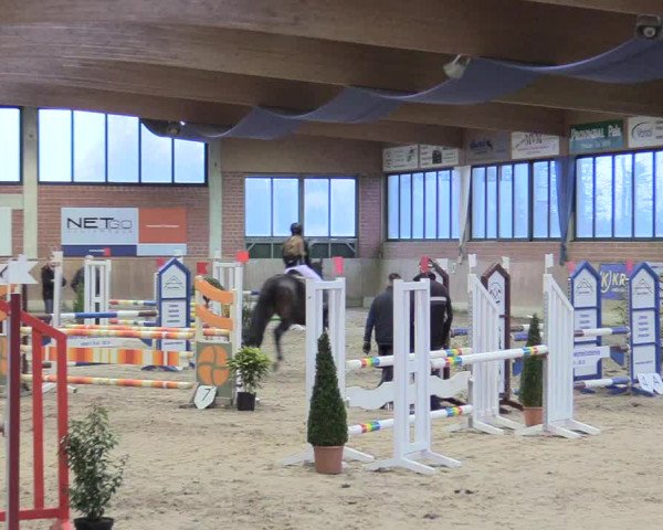 Reitturnier Heiden 2018