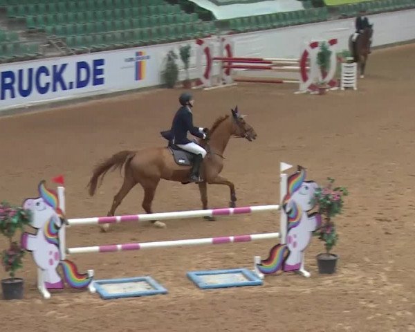 Reitturnier Kreuth 2018