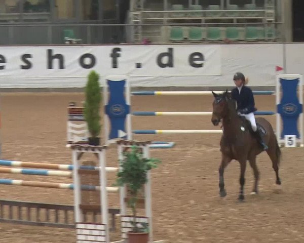 FEI Reitturnier Kreuth (GER) 2018