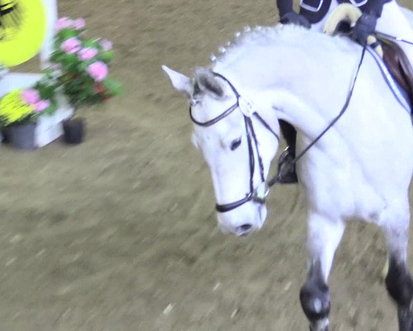 Reitturnier Kamen 2018