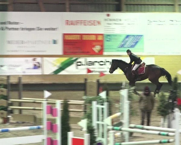 Reitturnier Bülach 2018