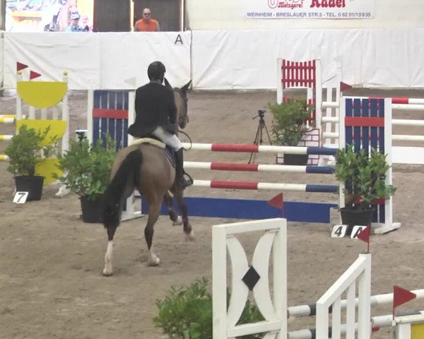 Reitturnier Viernheim 2018
