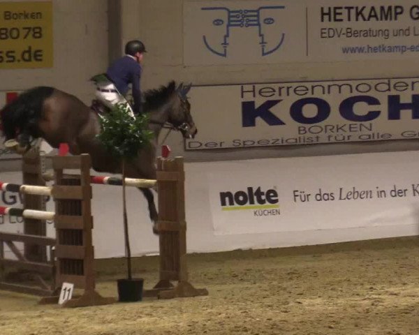 Reitturnier Borken 2018