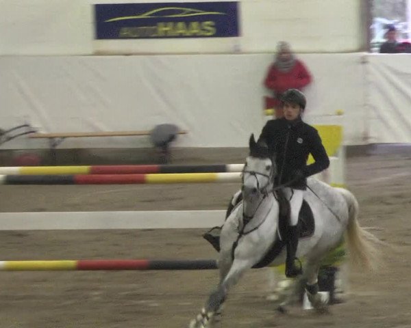 Reitturnier Viernheim 2018