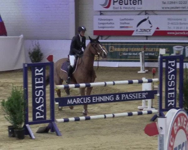 Reitturnier Borken 2018