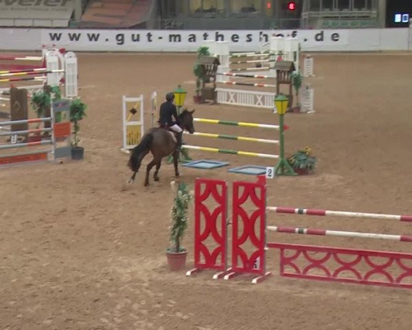 Reitturnier Kreuth 2018
